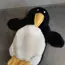 Termofór,tučniak