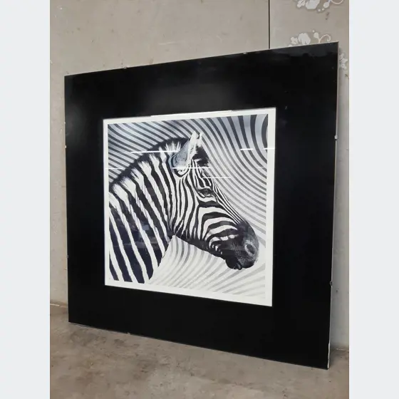 Obraz ,,zebra,,Ikea 50x50cm zasklený