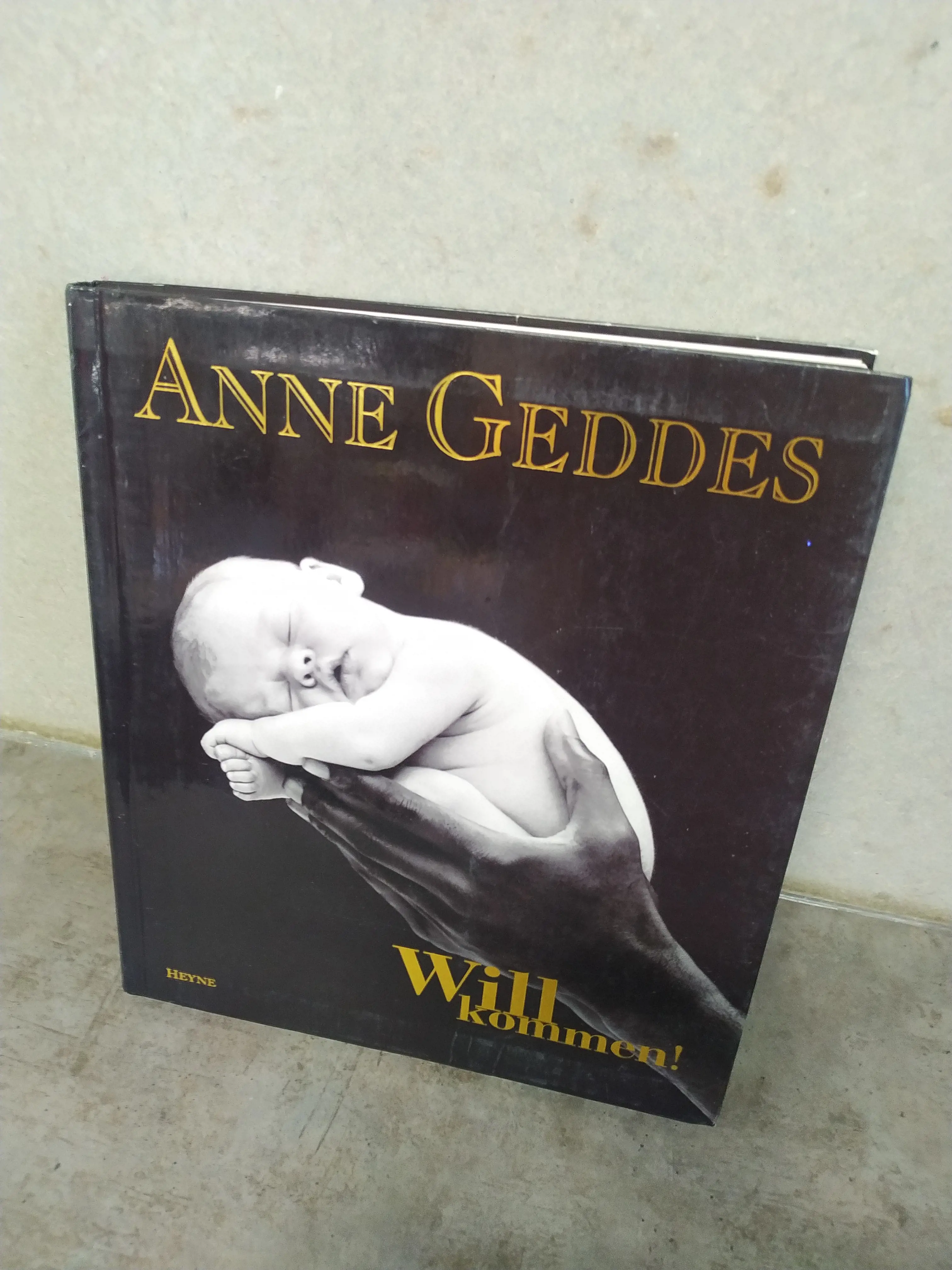 Kniha - Anne Geddes/Willkommen