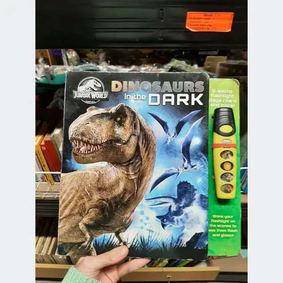 Detstká interaktívna hra na baterky Dinosaurus in the dark