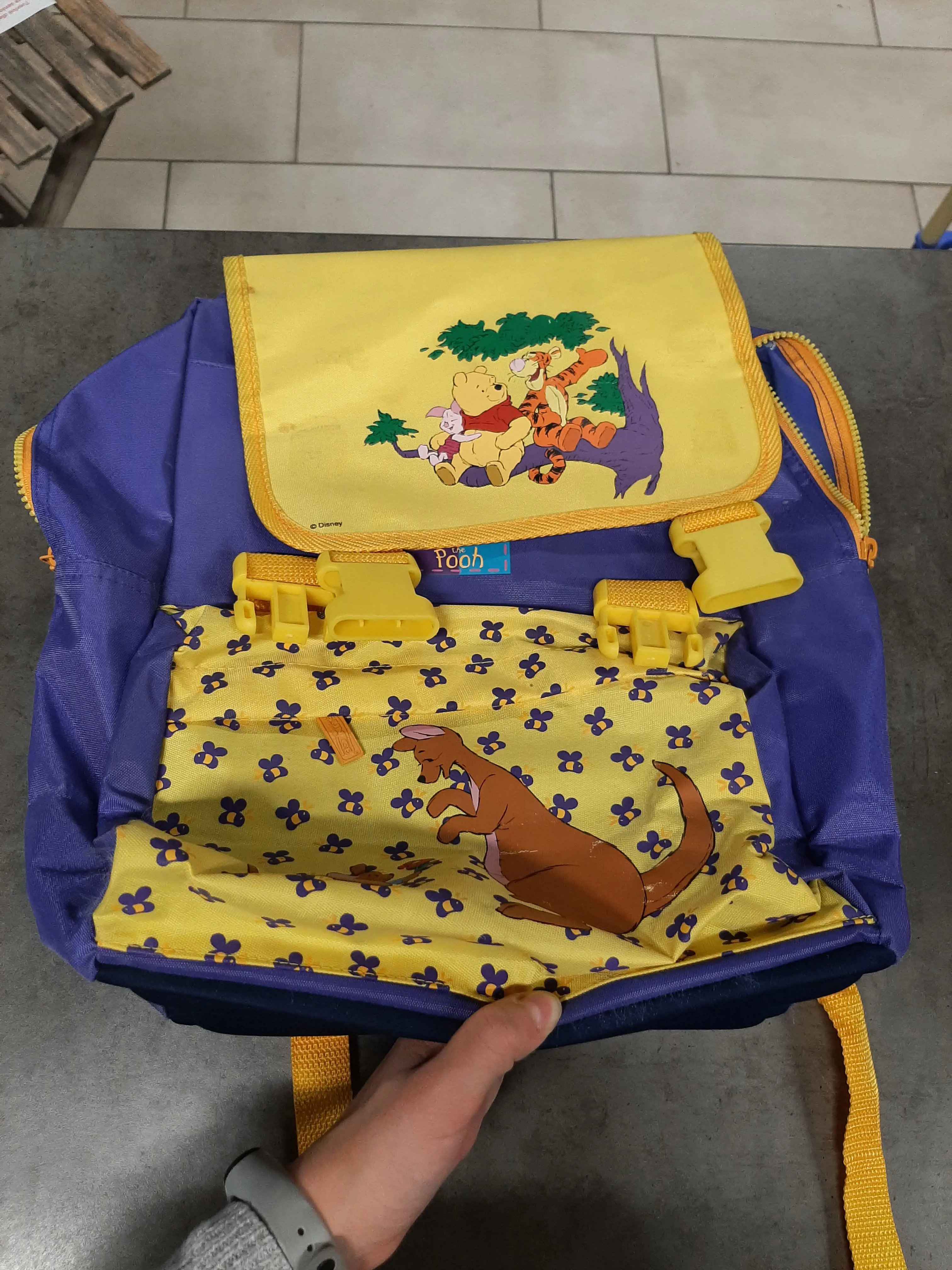 Batoh Winnie the Pooh