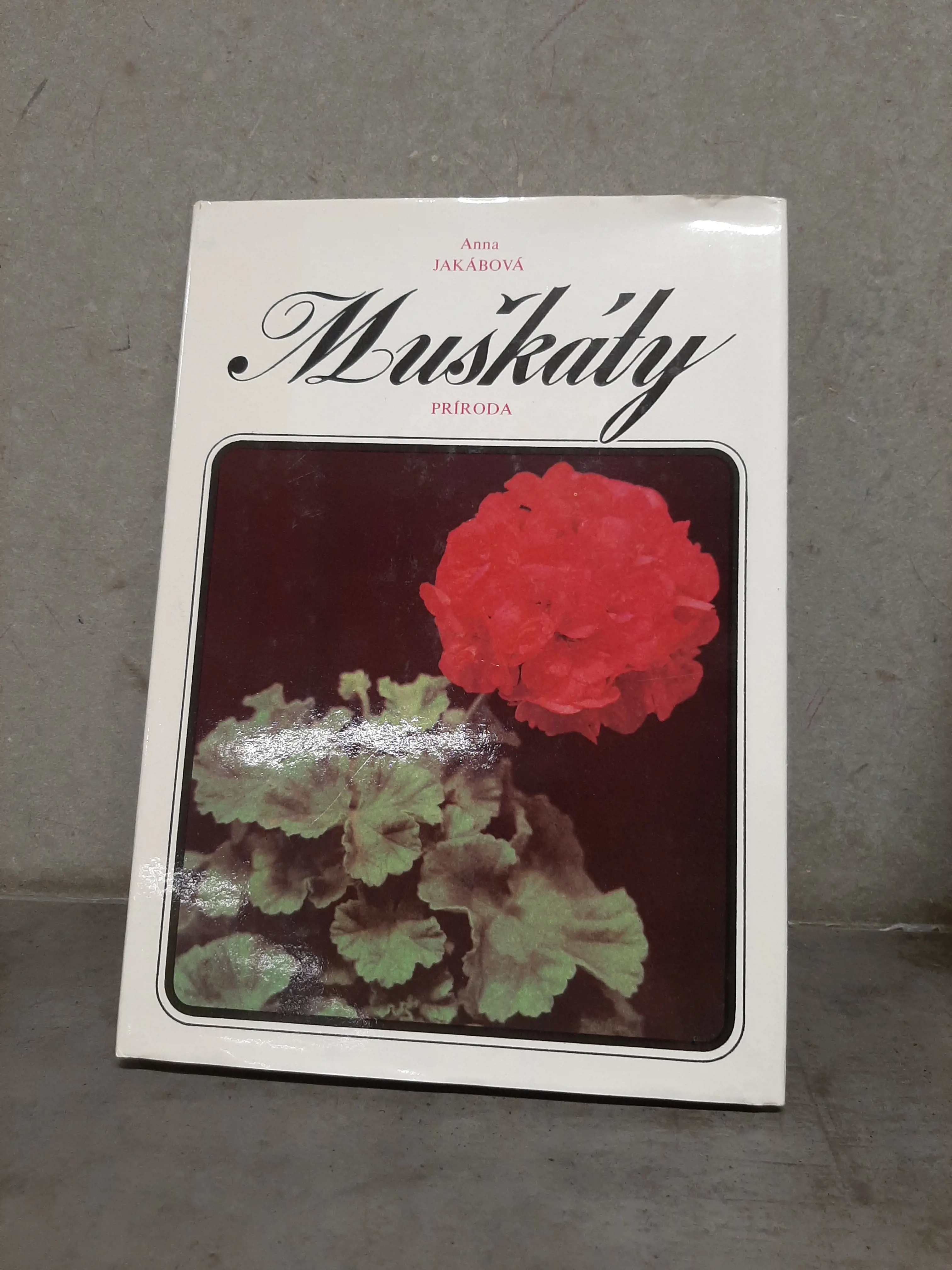 Anna Jakábová- Muškáty