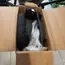 Trojkombinácia,Brio/Britax,všetko komplet,funkčné