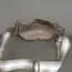 Kožená ĺadvinka,bežová so strieborným