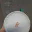 Čínsky porcelán ružová farba 