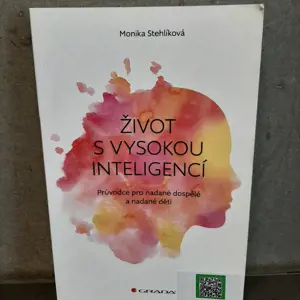 1755869260_b725_17558692493797052086633730233012