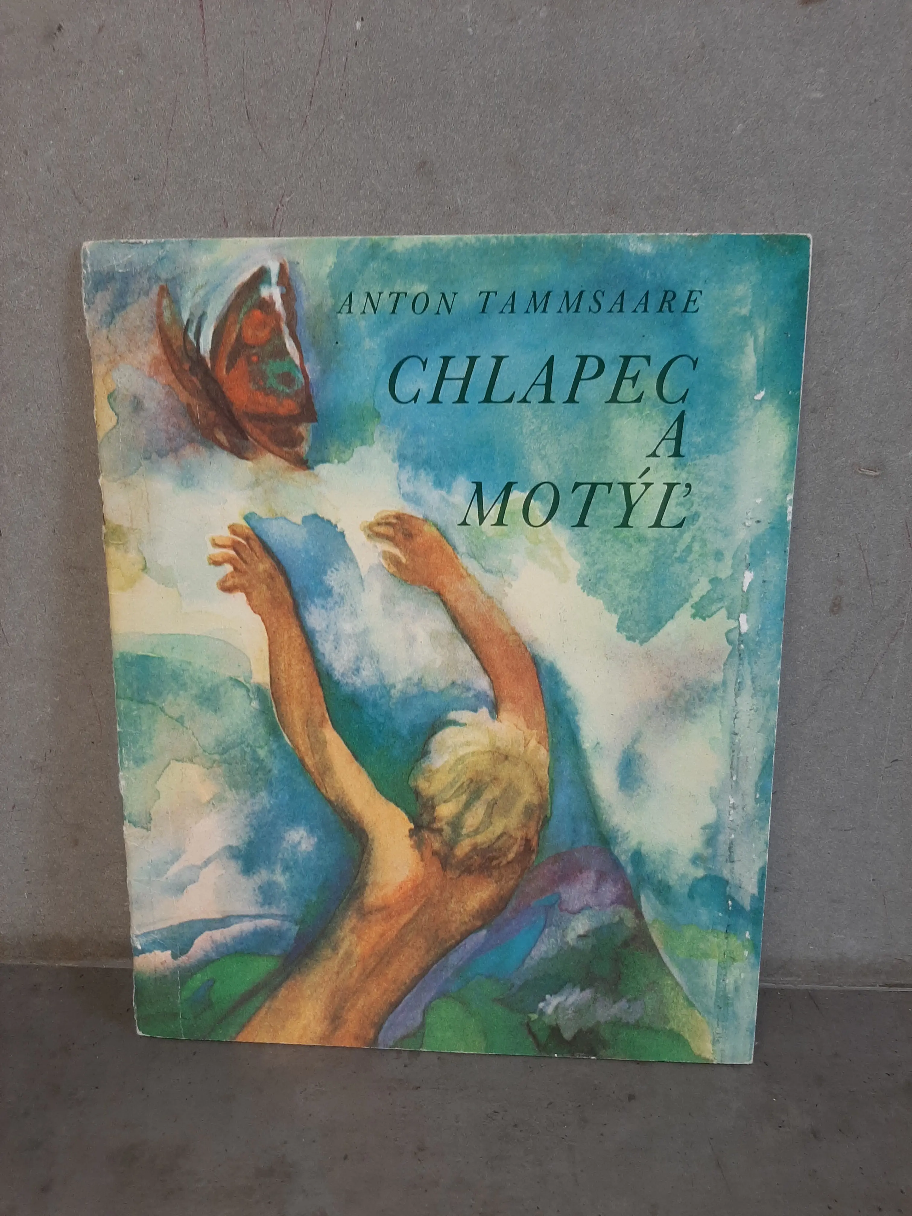 Chlapec a motýĺ