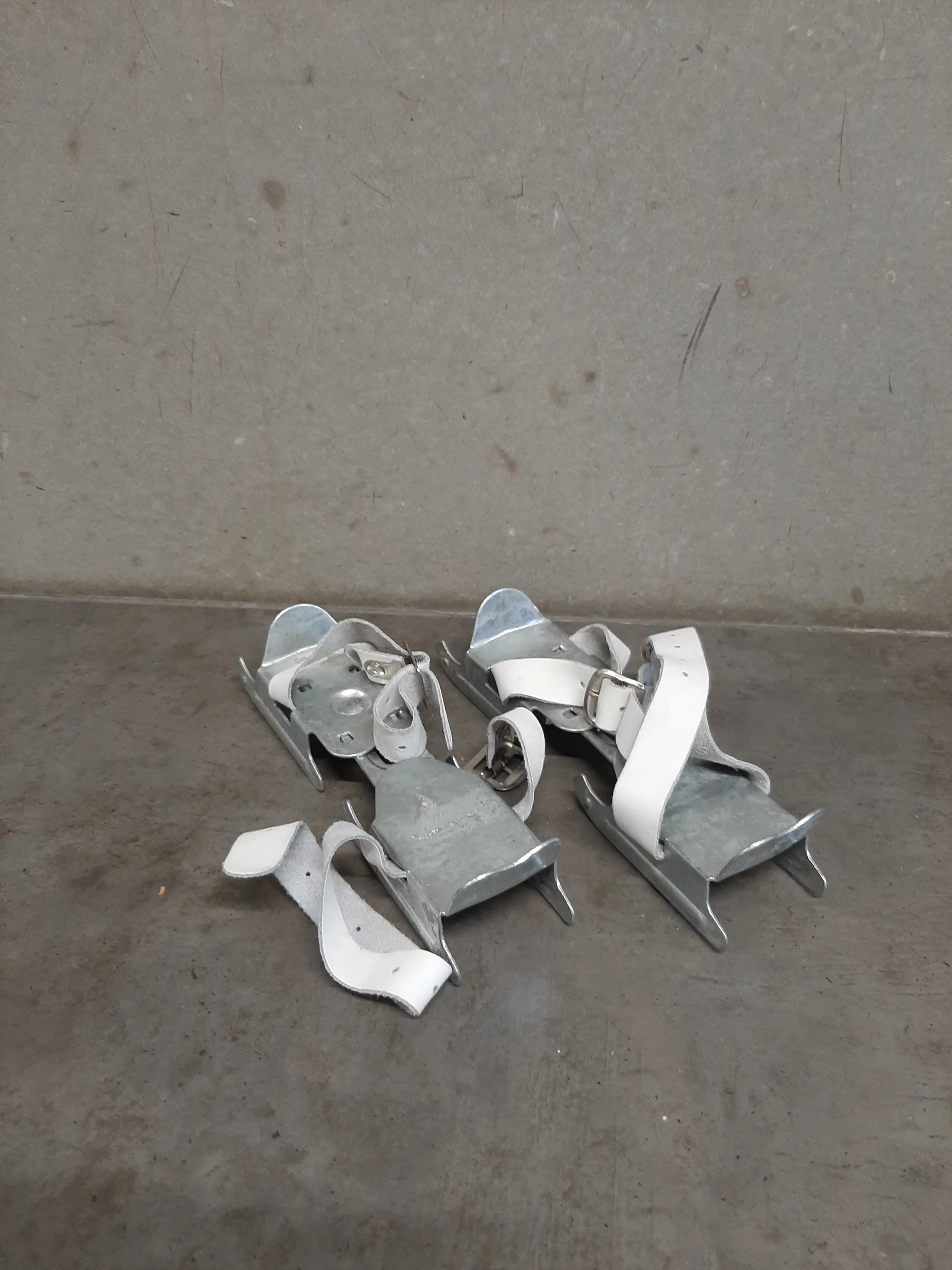 Biele rastúce kačičky