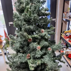 1765616457_dbb4_17656164365301743615683677070246