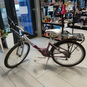 1767797202_742d_17677971879567332698434189689526