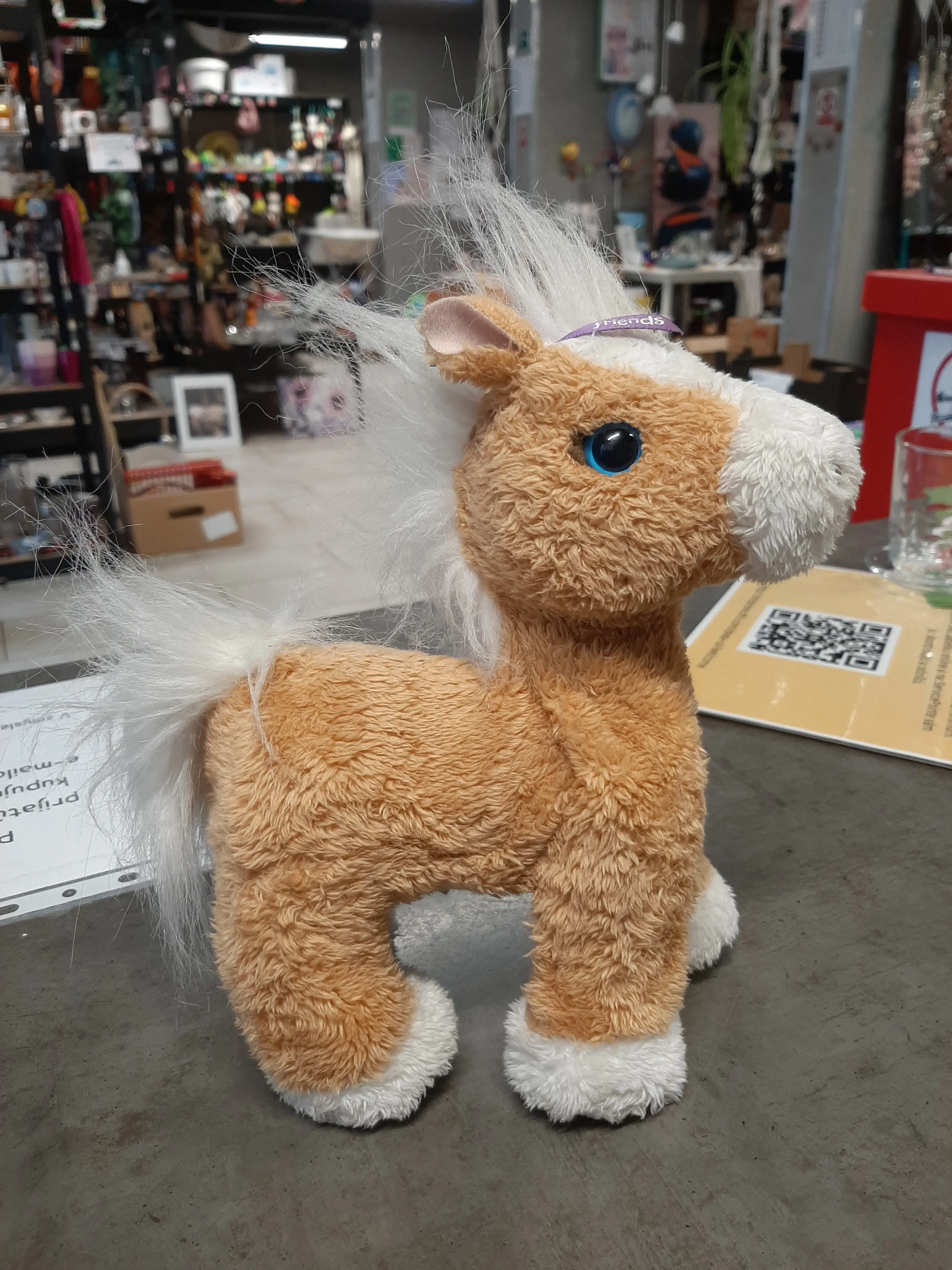 Koník,chodí a erdží