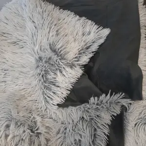 1772633631_cada_17726336232613509094226803017465