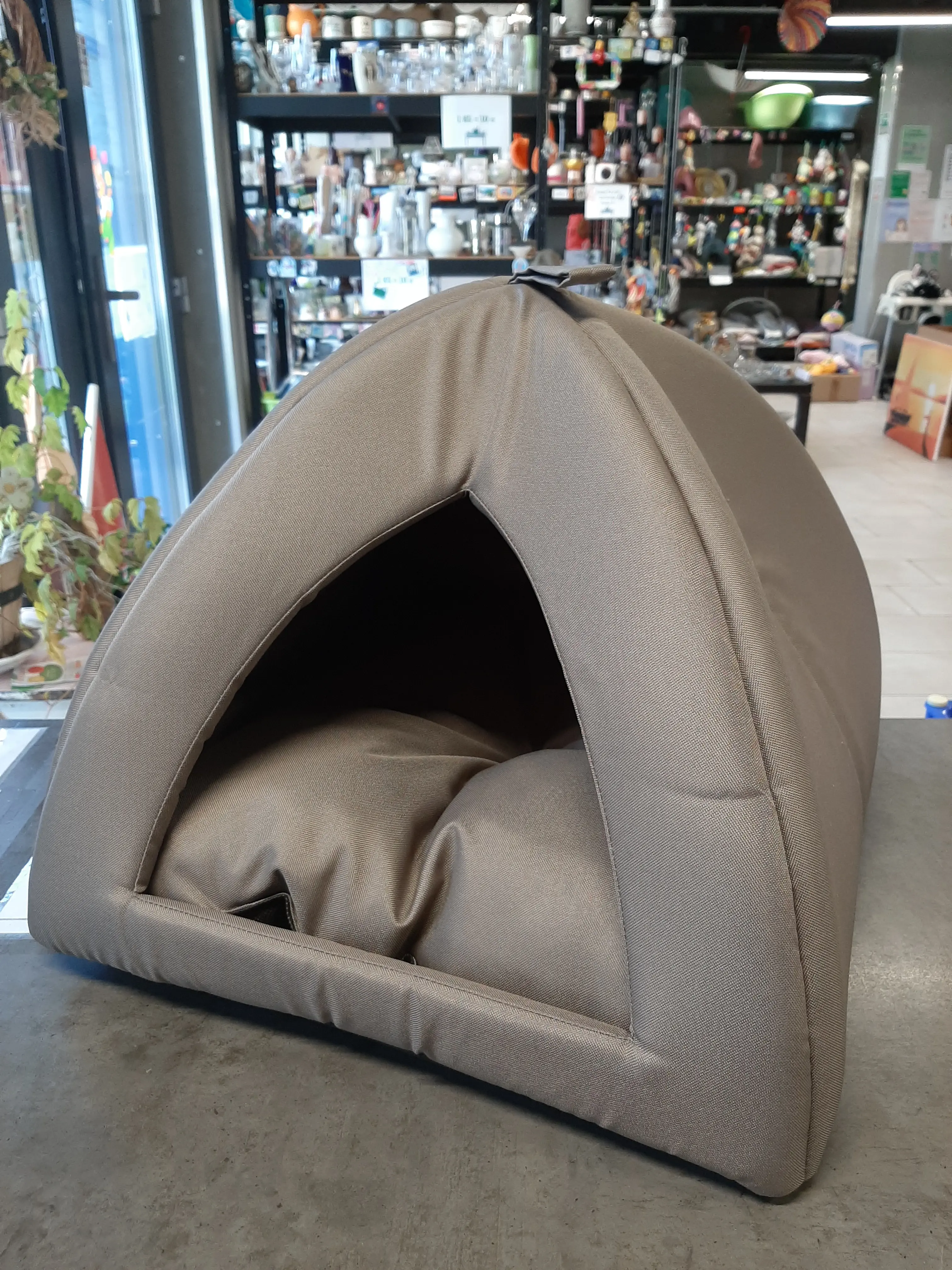 Mačacia kukaňa,NOVÁ