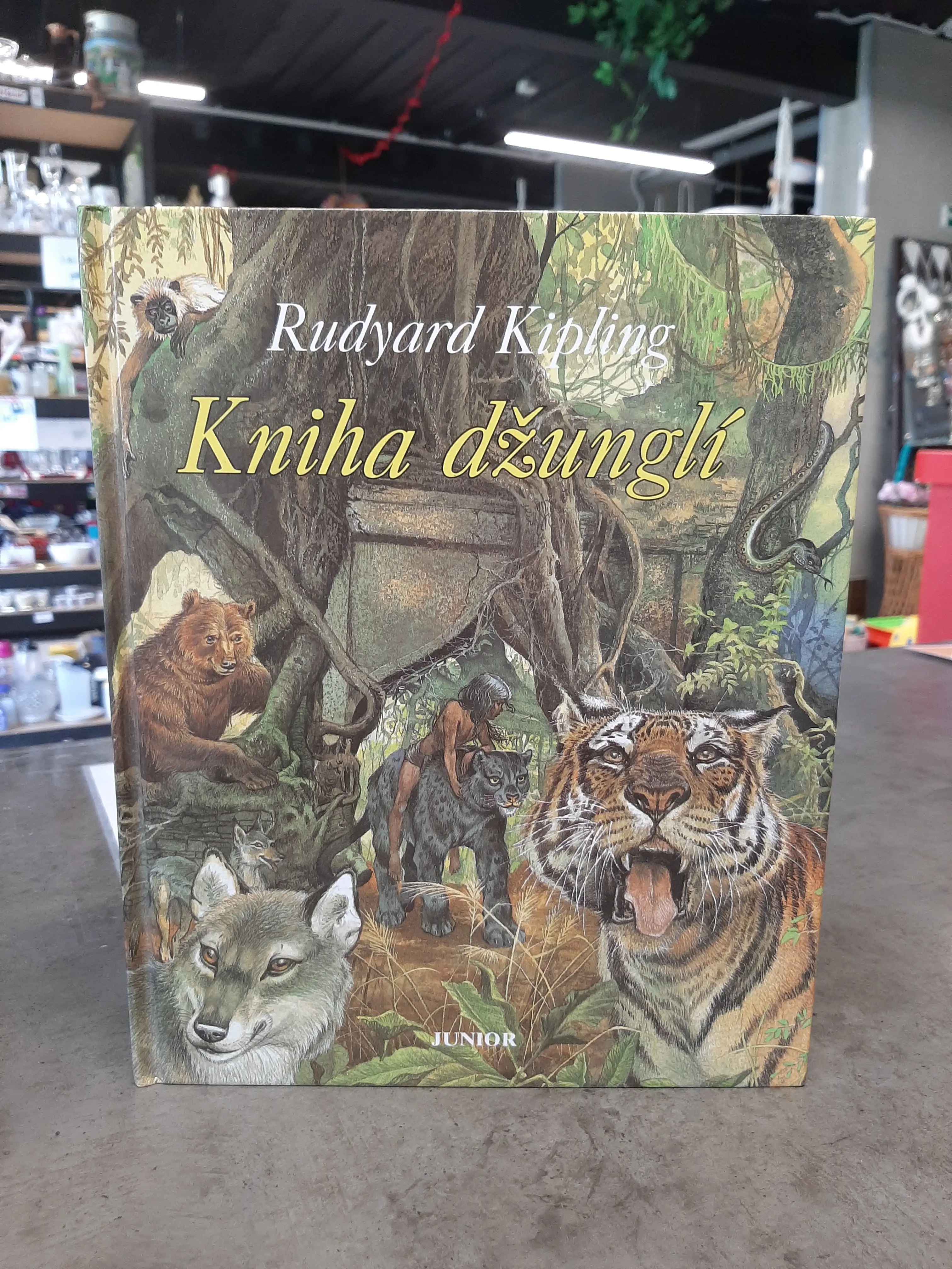 Kniha džunglí