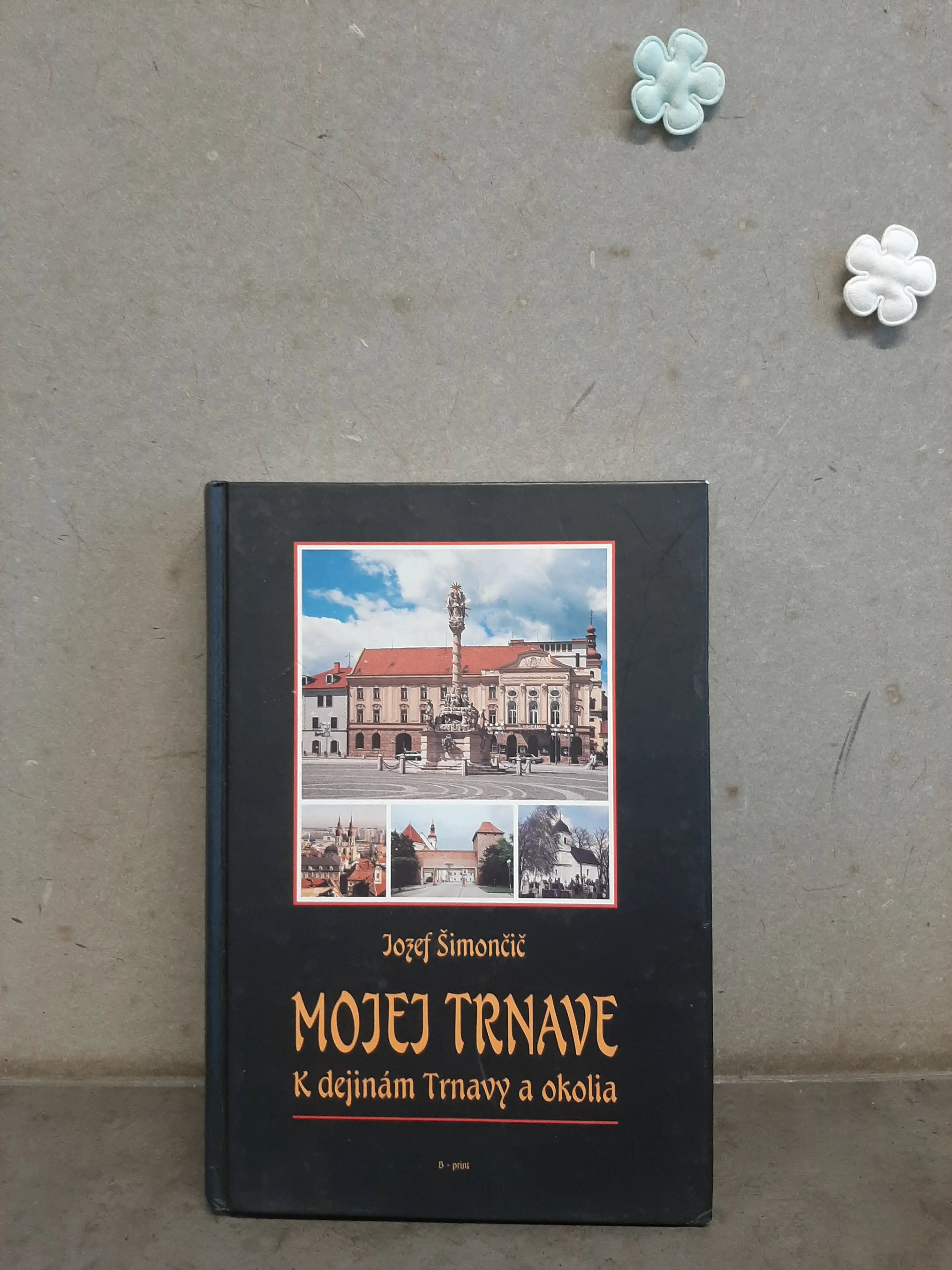 Mojej Trnave