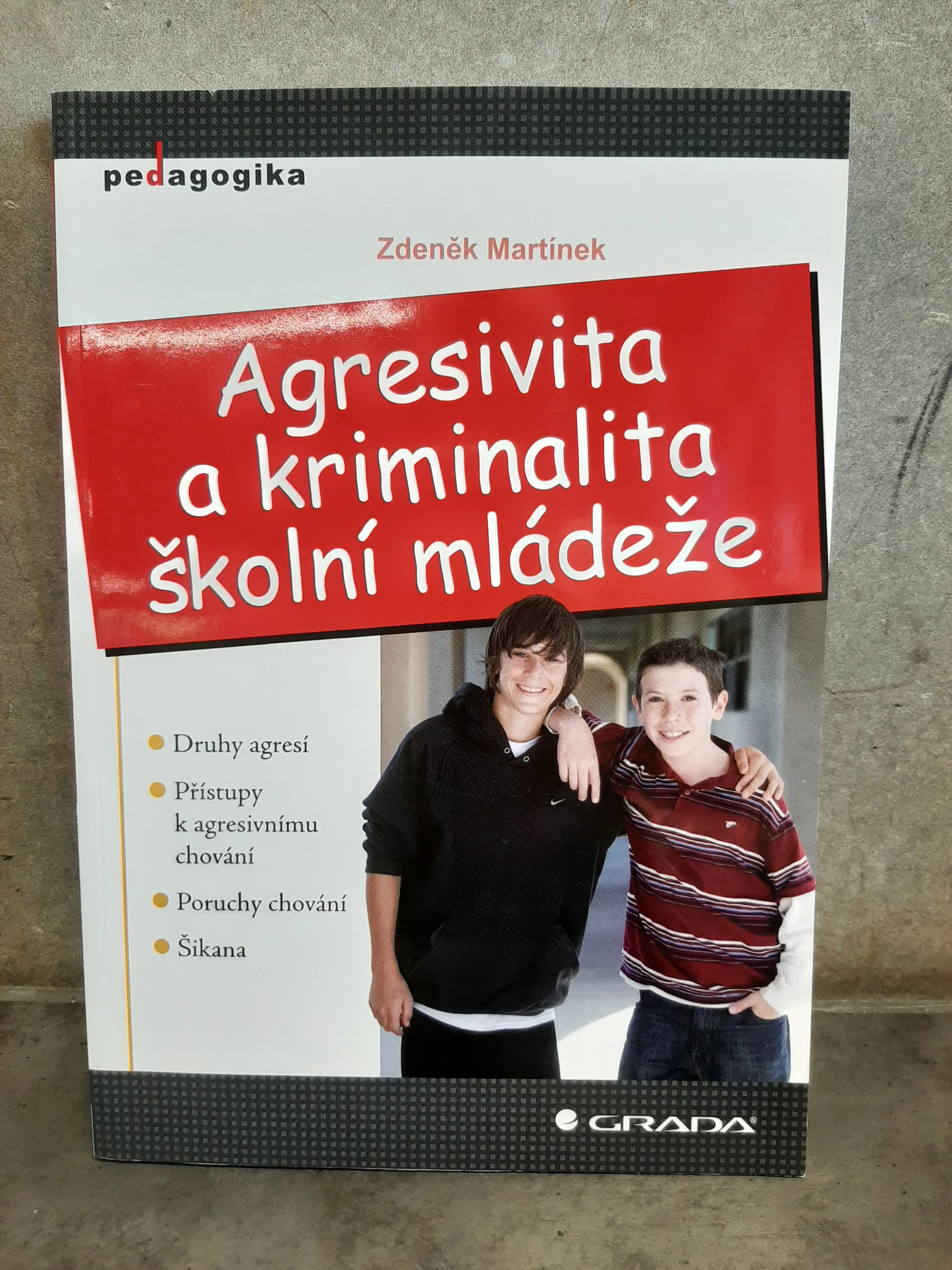 Agresivita a kriminalita školní mládeže