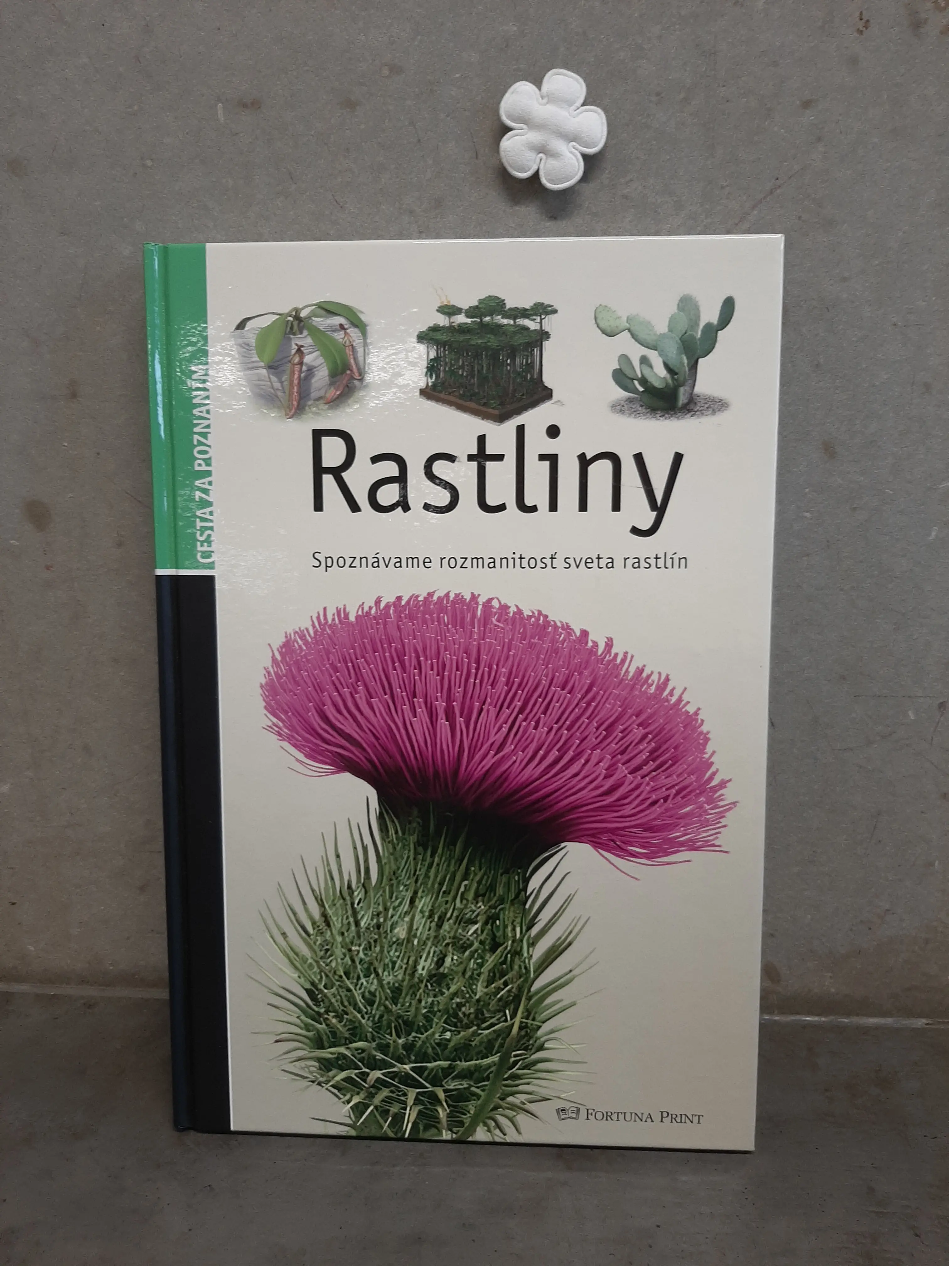Rastliny