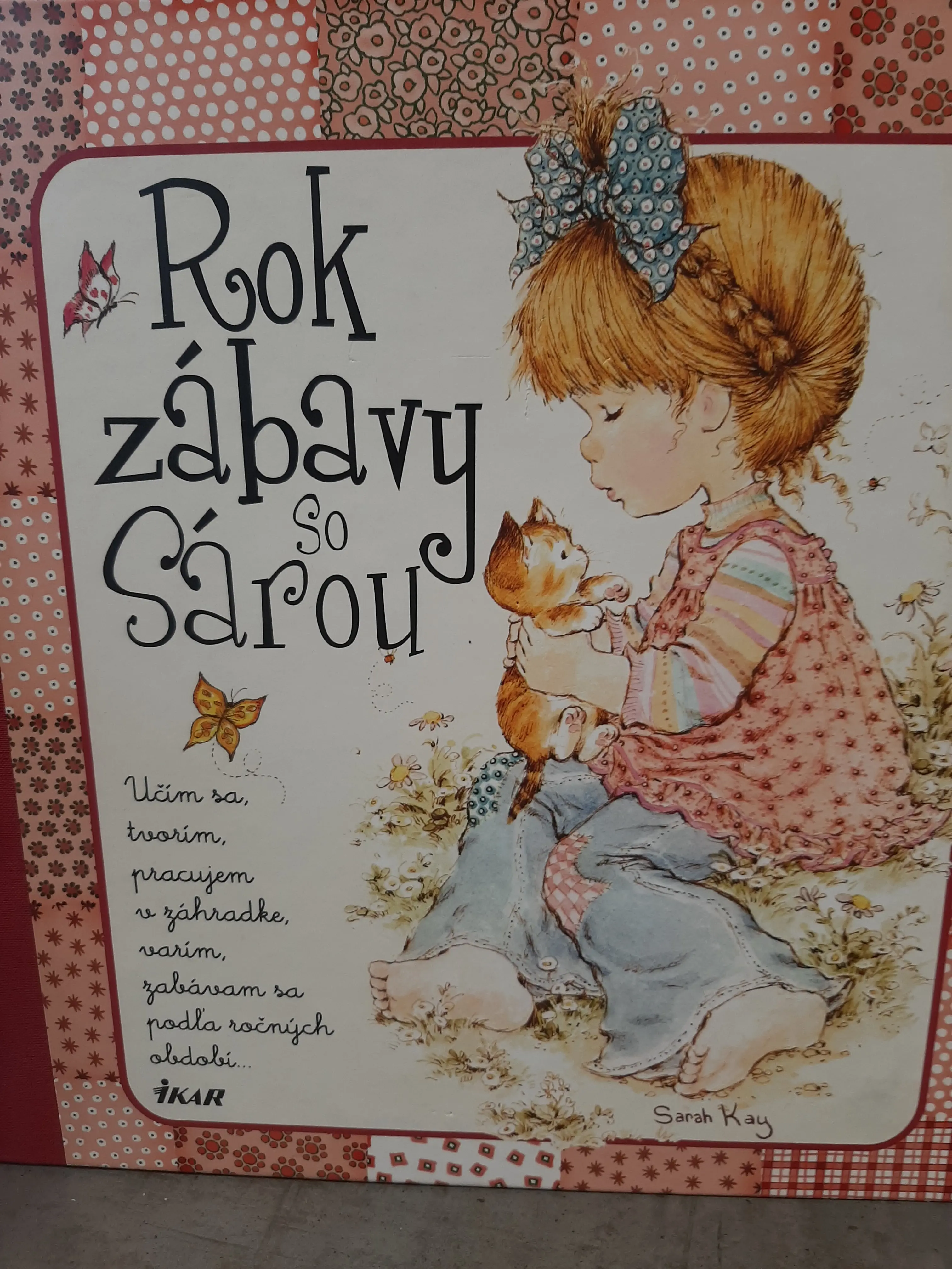 Kniha Rok zábavy so Sárou 